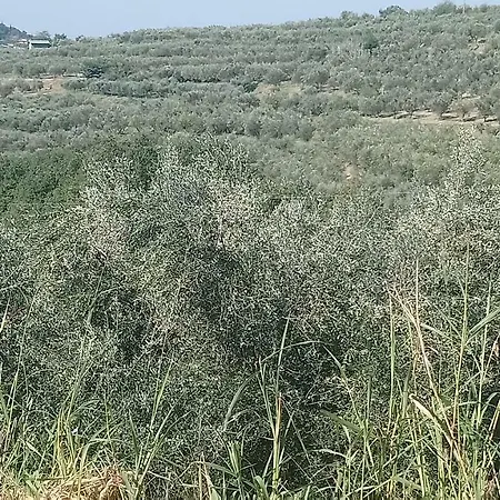 Istrias דירה *